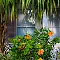 Key West Garden